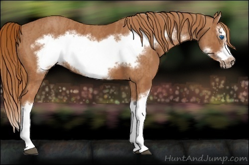 Horse Color:Chestnut Splash Frame  Brindle