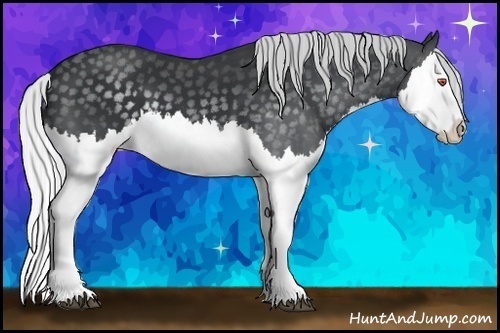 Horse Color:Silver Black Chinchilla Splash 