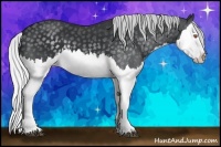 Horse Color:Silver Black Chinchilla Splash