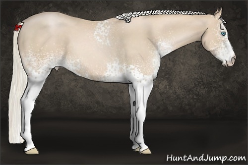 Horse Color:White Spotted Palomino Pearl 