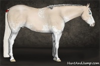 Horse Color:White Spotted Palomino Pearl 