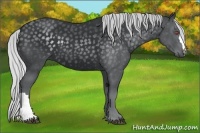 Horse Color:Silver Black Chinchilla 