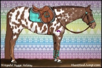 Horse Color:Chestnut Near Leopard