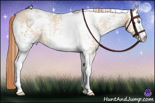 Horse Color:White Spotted Buckskin Pearl 