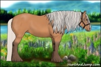 Horse Color:Silver Bay 