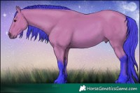 Horse Color:Watercolor Bay 