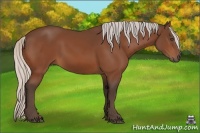 Horse Color:Silver Bay 