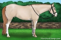 Horse Color:Smoky Black Pearl Sabino Frame 