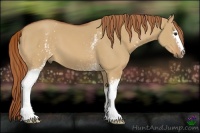 Horse Color:White Spotted Red Dun