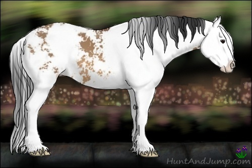 Horse Color:Bay Dun Sabino Splash