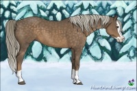 Horse Color:Chocolate Palomino Splash