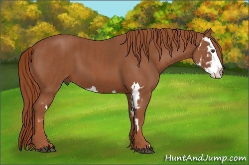 Horse Color:Chestnut Splash Frame  Brindle