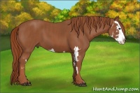Horse Color:Chestnut Splash Frame  Brindle
