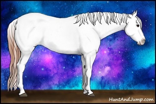 Horse Color:Black Leopard