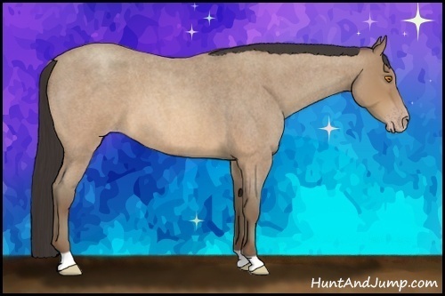 Horse Color:Sable Champagne Roan 