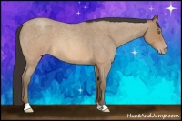 Horse Color:Sable Champagne Roan 
