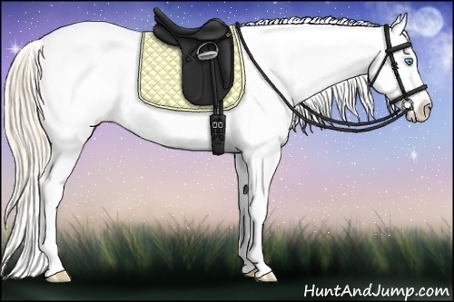 Horse Color:White Spotted Perlino Roan Dun Appaloosa Rabicano