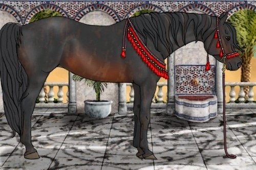 Horse Color:Brown Rabicano Brindle
