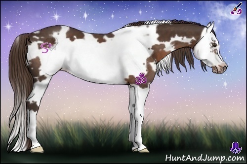 Horse Color:White Spotted Liver Chestnut Splash Frame
