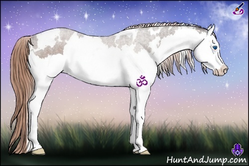 Horse Color:White Spotted Liver Chestnut Splash 