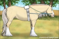 Horse Color:Silver Amber Champagne Dun Sabino Splash 
