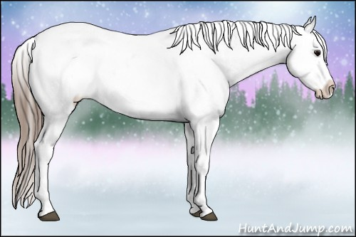 Horse Color:Black Frame Appaloosa 