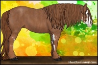 Horse Color:Red Roan Splash Frame Brindle
