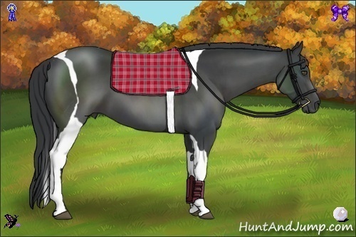 Horse Color:Black Tobiano 