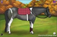 Horse Color:Black Tobiano 