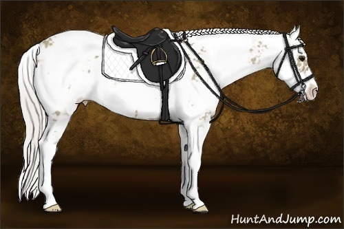 Horse Color:Silver Smoky Grullo Sabino 