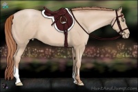 Horse Color:Smoky Black Pearl Sabino Tobiano 