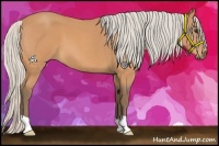 Horse Color:Silver Bay Roan