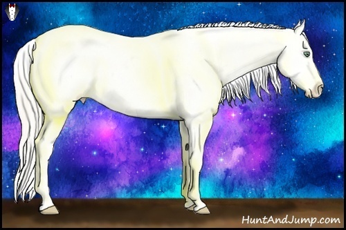 Horse Color:Gold Cream Champagne Dun Appaloosa 