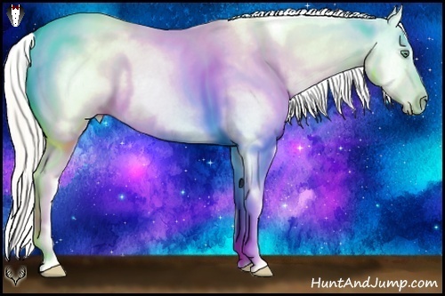 Horse Color:White Spotted Silver Classic Cream Champagne Dun Blanket Rabicano 