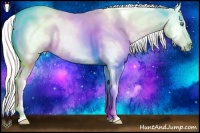 Horse Color:White Spotted Silver Classic Cream Champagne Dun Blanket Rabicano 