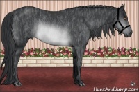 Horse Color:Brown Chinchilla Rabicano  Brindle