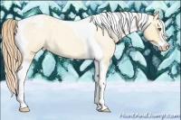 Horse Color:Gold Champagne Roan Dun Splash Tobiano Frame Varnish Rabicano 