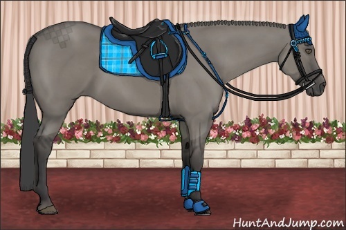 Horse Color:Smoky Grullo 