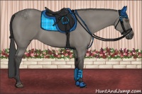Horse Color:Smoky Grullo