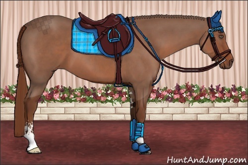 Horse Color:Chestnut Sabino 
