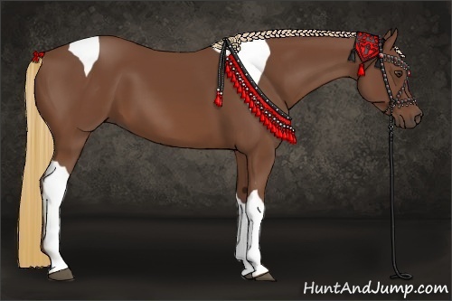 Horse Color:Chestnut Tobiano 