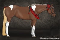 Horse Color:Chestnut Tobiano