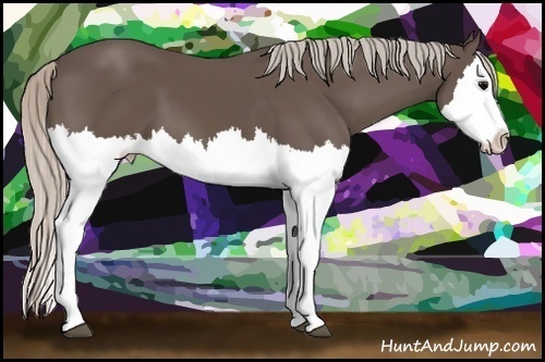 Horse Color:Silver Black Splash 
