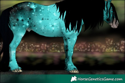 Horse Color:ERROR: UNKNOWN ANOMALY