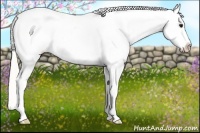Horse Color:Silver Buckskin Appaloosa 