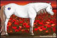 Horse Color:Chestnut Appaloosa 