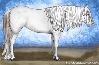 Horse Color:White Spotted Black Splash Tobiano Frame Varnish