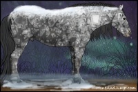 Horse Color:Black Ice Brindle