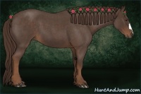 Horse Color:Liver Red Roan 