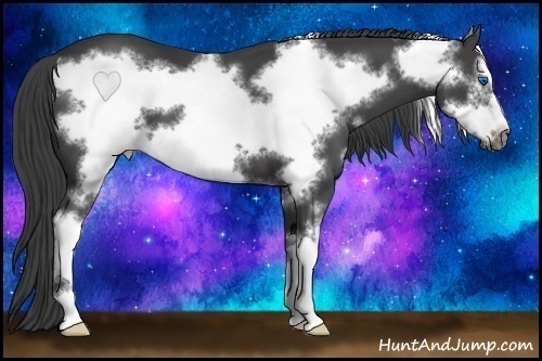 Horse Color:Smoky Black Sabino Frame 